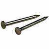 Hillman Common Nail, 3/4 in L, 17D, Stainless Steel 122530